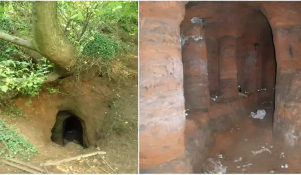Заешка дупка води към мистериозен лабиринт от пещери на тамплиерите