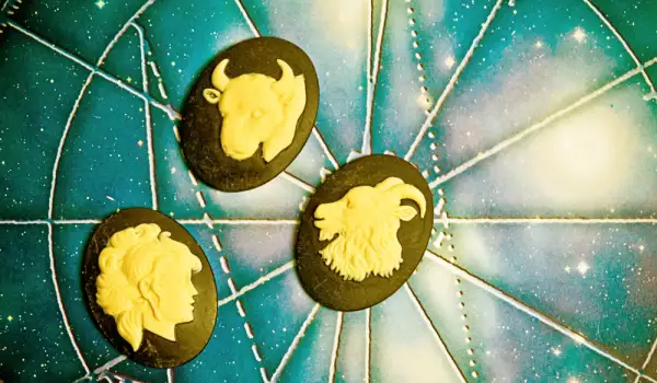 Земни зодии