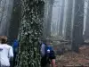 Мексиканска телевизия съобщи за българско извънземно