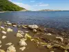 Малко израелско градче лудна по русалки